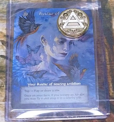 4 Elemental Coins (1 of each)